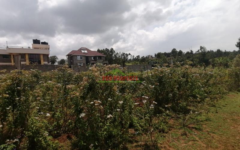 Prime Plots For Sale In Kikuyu, Gikambura.