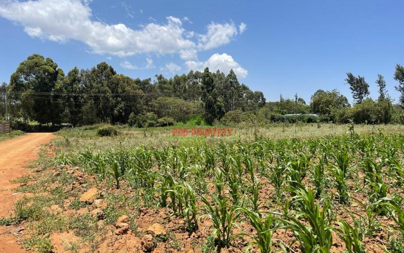 Residential Plot For Sale In Kikuyu, Kamangu-kiambu County.