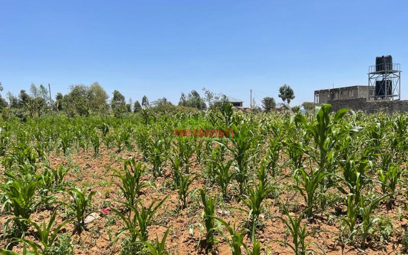 Residential Plot For Sale In Kikuyu, Kamangu-kiambu County.