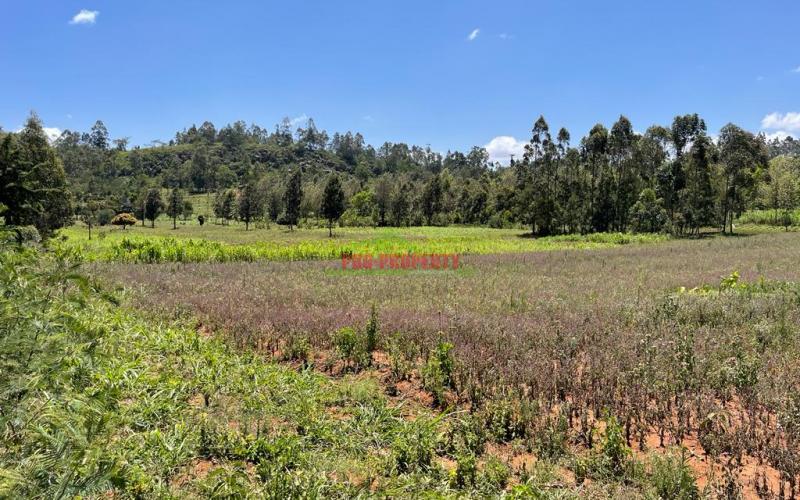 One Acre Land For Sale In Kikuyu, Lusigetti- Kiambu County.