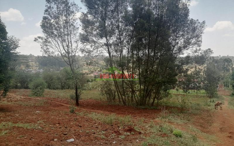 Prime Residetial Plot For Sale In Kikuyu, Gikambura.