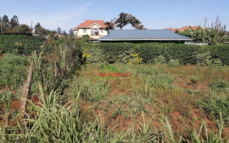 Prime Residential Plot For Sale In Kikuyu, Gikambura.
