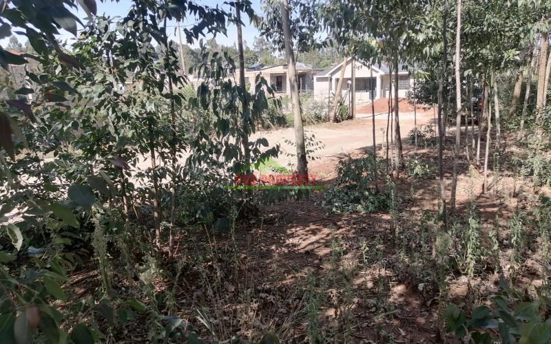 Prime 50x100ft Plot For Sale In Kikuyu,kamangu