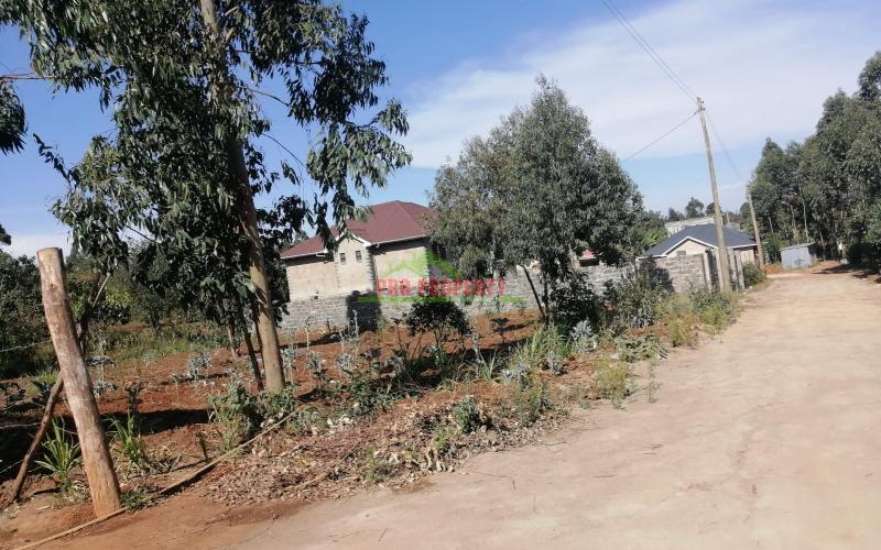 Prime 50x100ft Plot For Sale In Kikuyu,kamangu
