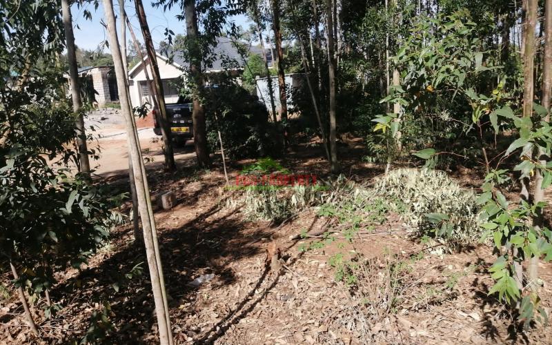 Prime 50x100ft Plot For Sale In Kikuyu,kamangu