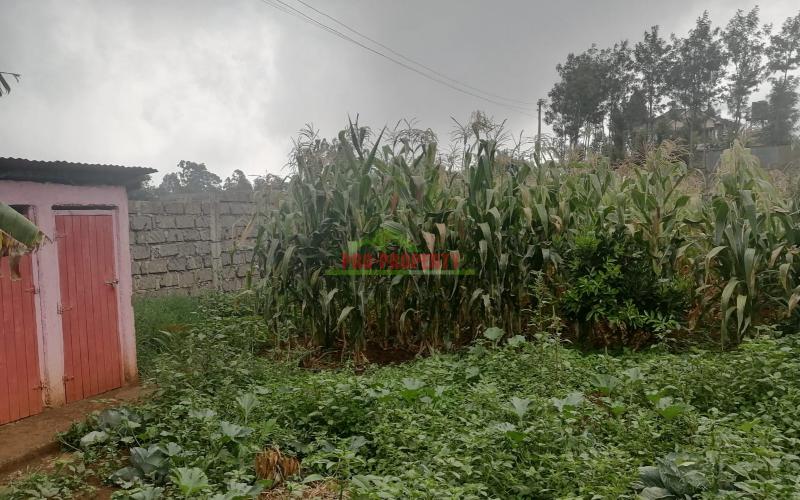 Plot In Kikuyu, Gikambura.