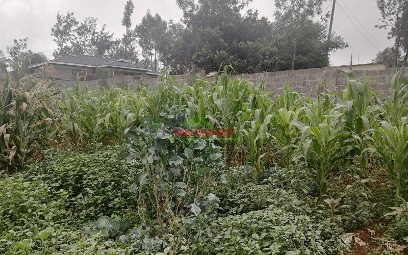 Plot In Kikuyu, Gikambura.