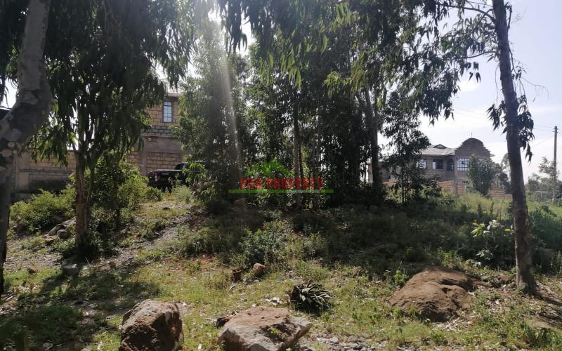 Prime Residential Plot In Ngong, Kibiko.