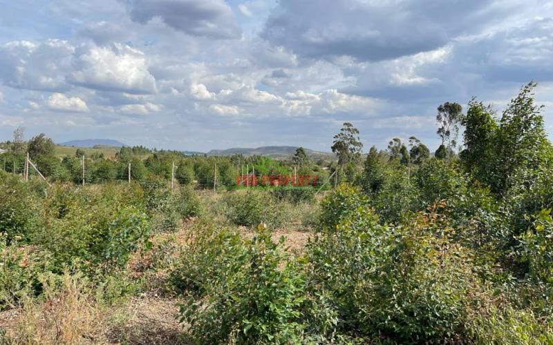 Plots For Sale In Kikuyu, Kamangu (nachu) Kiambu County.