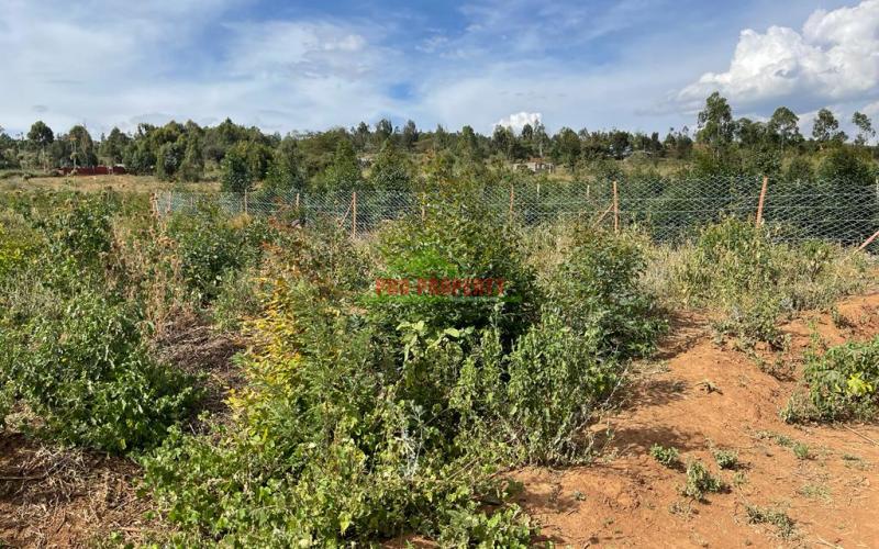 Plots For Sale In Kikuyu, Kamangu (nachu) Kiambu County.