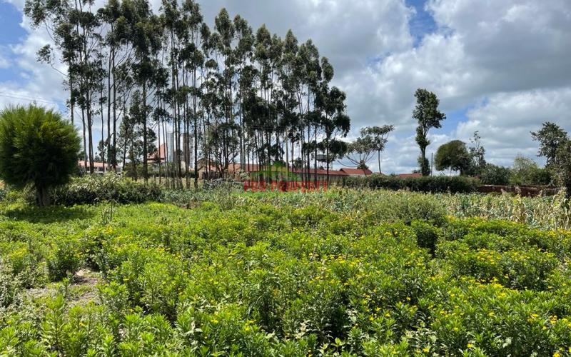 Prime Land For Sale In Limuru, Kamandura.