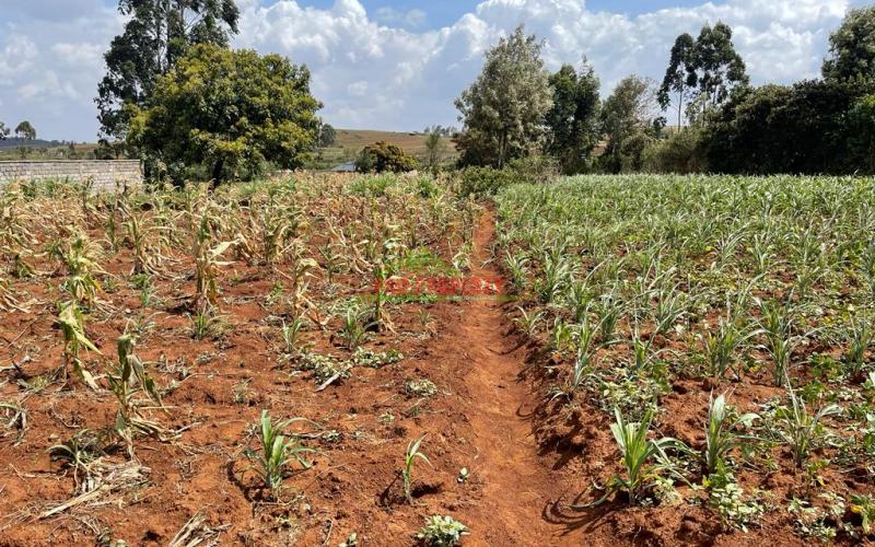 Residential Plot For Sale In Kikuyu, Gikambura (riu-nderi)-kiambu County.