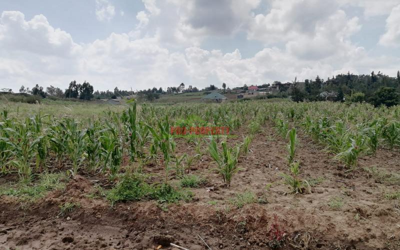 Prime Residential Plot For Sale In Kikuyu, Kamangu.