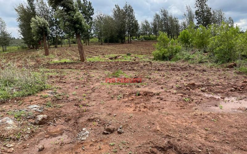 5 Acre Land For Sale In Kikuyu, Lusigetti Nachu.