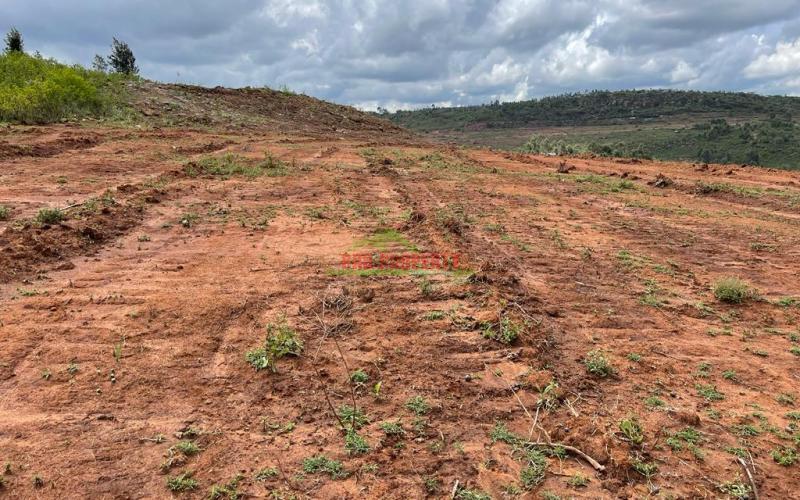 5 Acre Land For Sale In Kikuyu, Lusigetti Nachu.