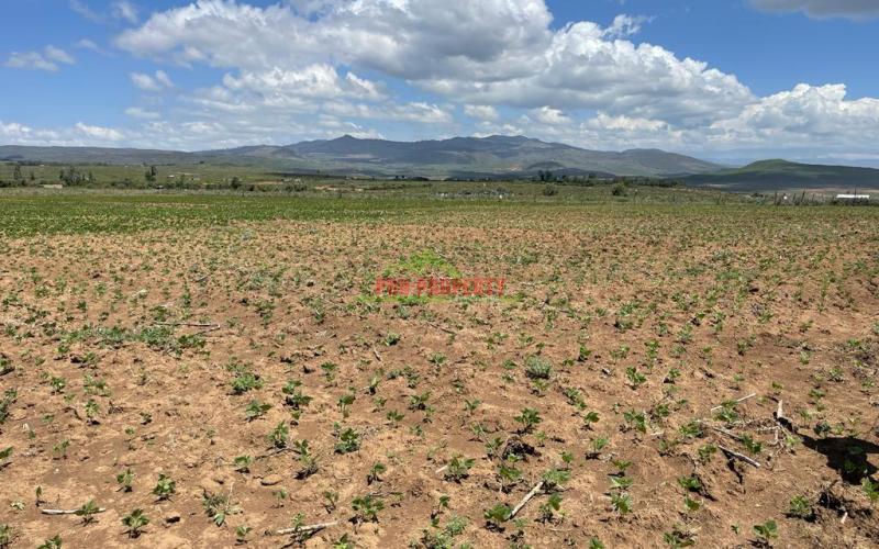 50 By 100 Ft Plots For Sale In Gilgil Naivasha