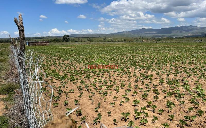 50 By 100 Ft Plots For Sale In Gilgil Naivasha