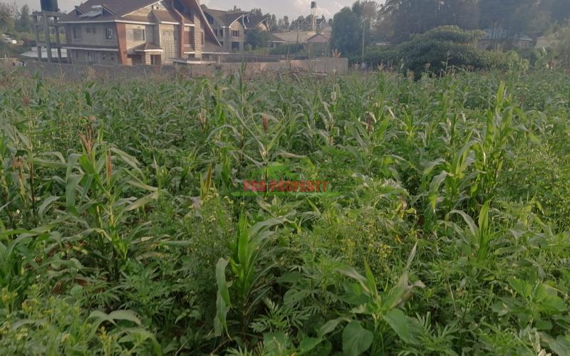 Prime Half Acre Plot For Sale In Kikuyu, Ondiri.