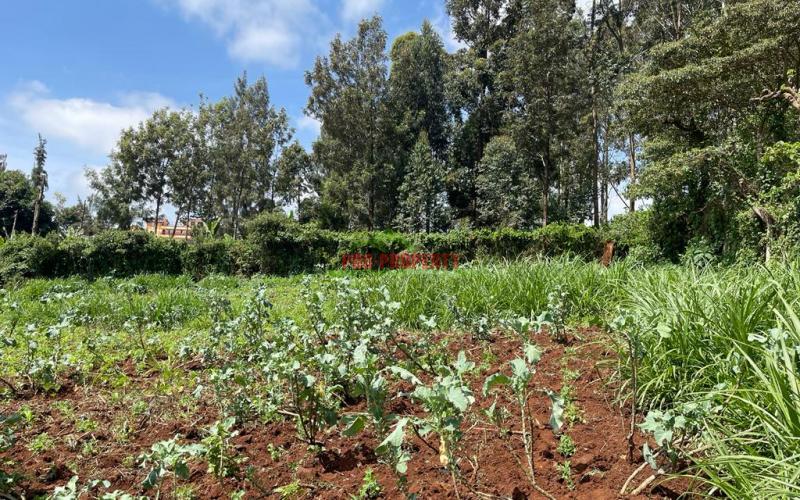 Commercial Plot For Sale In Kikuyu, Thogoto.