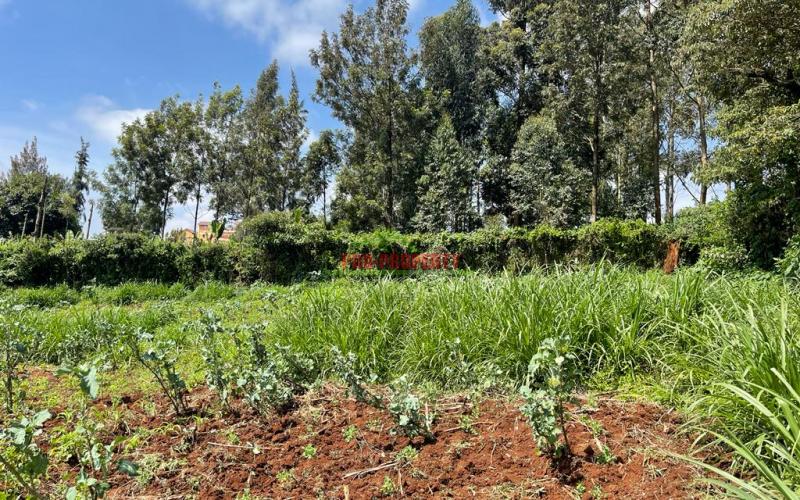 Commercial Plot For Sale In Kikuyu, Thogoto.