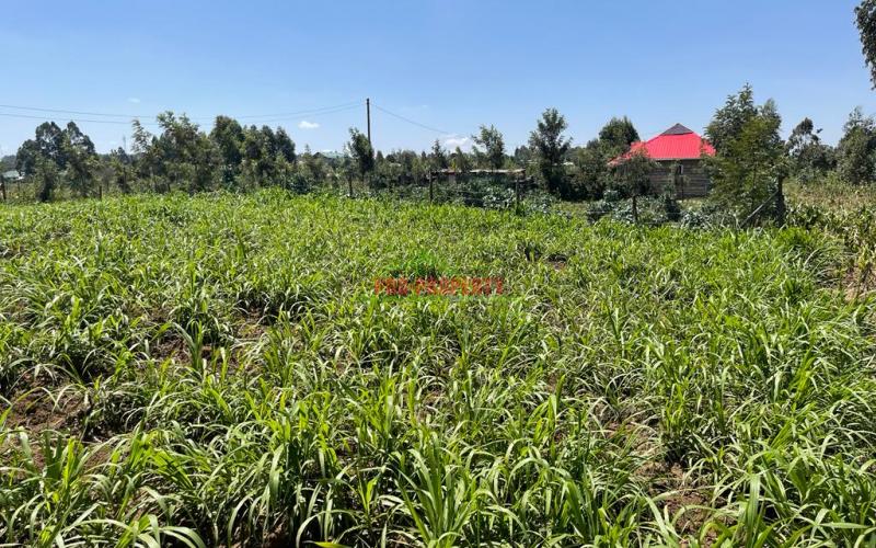 Prime Residential Plot For Sale In Kikuyu, Kamangu.