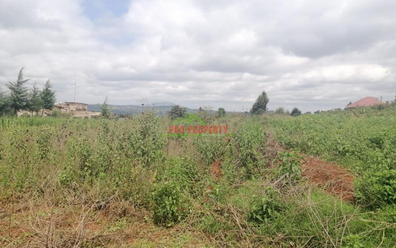 Prime Residential 50 By 100 Fts Plot For Sale In Kikuyu Kamangu (migumoini).