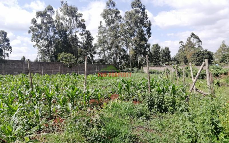 Commercial Plot For Sale In Sigona.