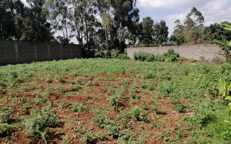 Commercial Plot For Sale In Sigona.