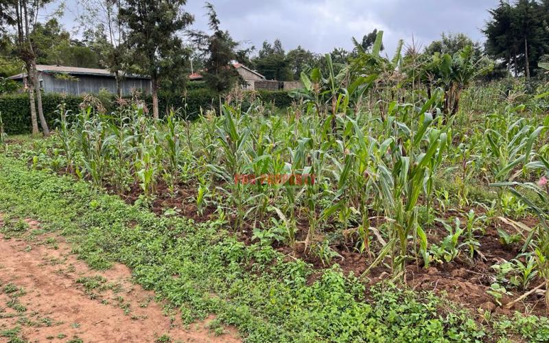 Prime Plots For Sale in Kikuyu, Kamangu (Ngamba Area).