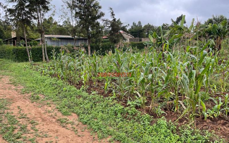 Prime Plots For Sale In Kikuyu, Kamangu (ngamba Area).