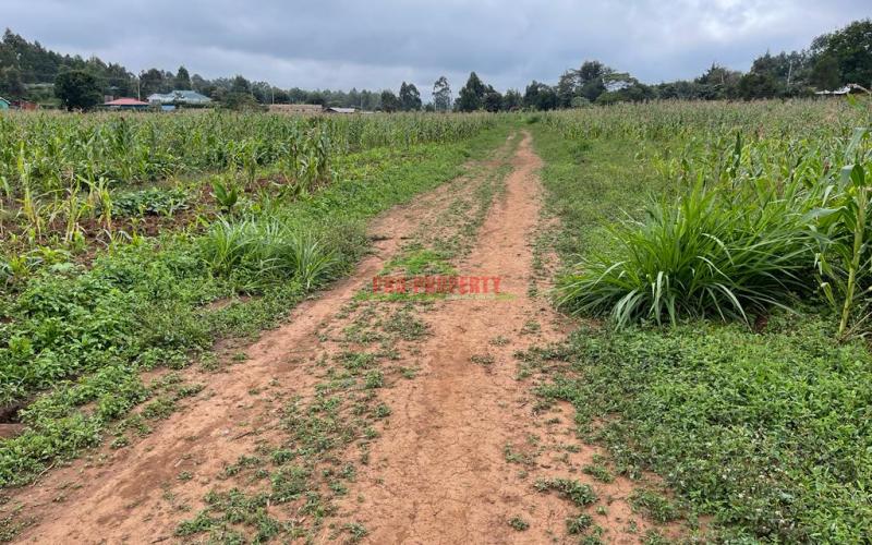 Prime Plots For Sale In Kikuyu, Kamangu (ngamba Area).