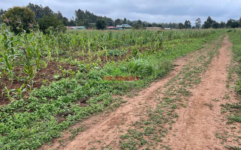 Prime Plots For Sale In Kikuyu, Kamangu (ngamba Area).