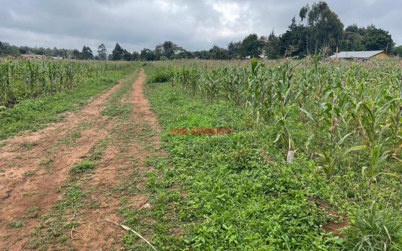 Prime Plots For Sale In Kikuyu, Kamangu (ngamba Area).