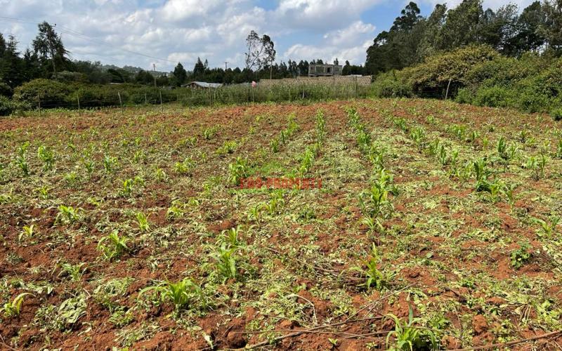 Residential Plot For Sale in Kikuyu, Lusigetti (Kiambu county)