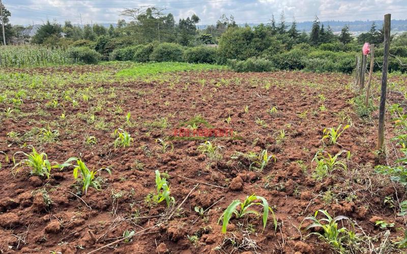 Residential Plot For Sale In Kikuyu, Lusigetti (kiambu County)