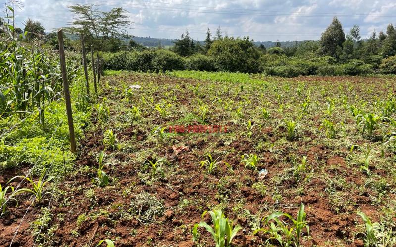 Residential Plot For Sale In Kikuyu, Lusigetti (kiambu County)