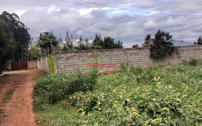 Prime Fenced Plot For Sale In Kikuyu, Gikambura.