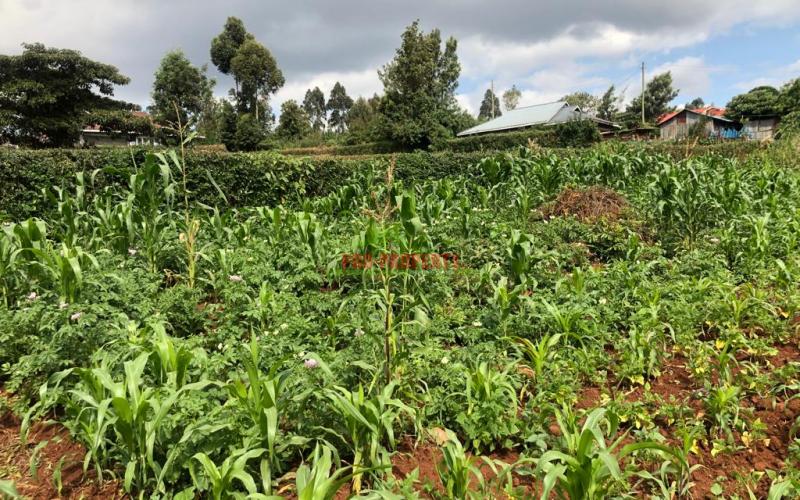 Prime Quarter Plot For Sale In Kikuyu, Gikambura.