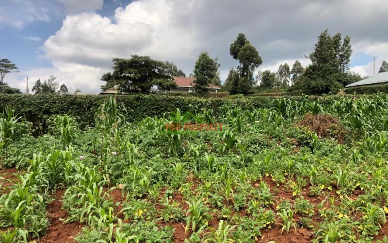 Prime Quarter Plot For Sale In Kikuyu, Gikambura.