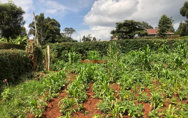 Prime Quarter Plot For Sale In Kikuyu, Gikambura.