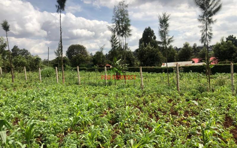 Prime Quarter Plot For Sale In Kikuyu, Gikambura.