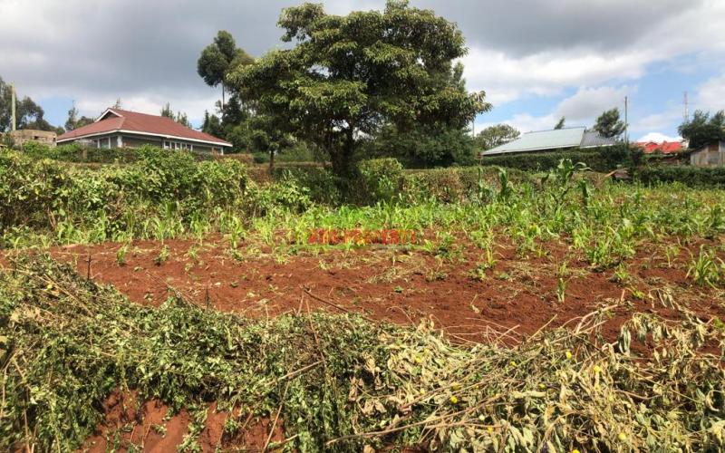 Prime Quarter Plot For Sale In Kikuyu, Gikambura.
