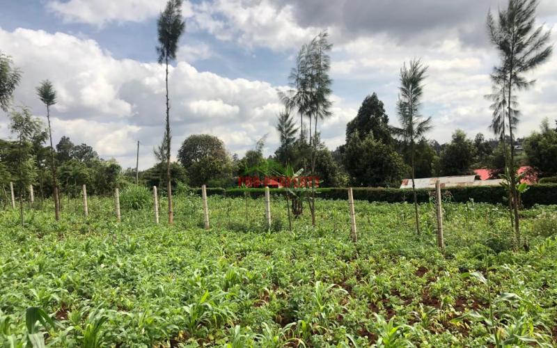 Prime Quarter Plot For Sale In Kikuyu, Gikambura.