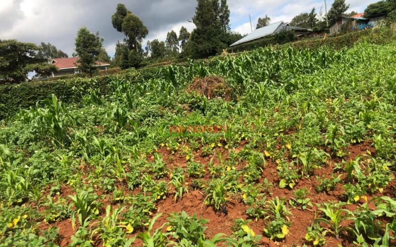 Prime Quarter Plot For Sale In Kikuyu, Gikambura.