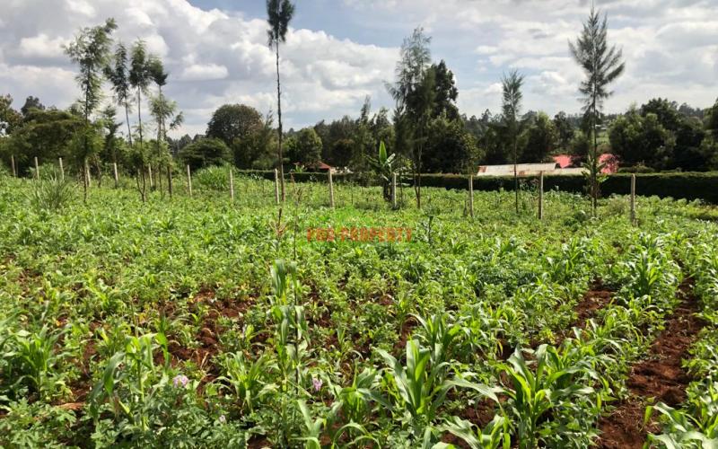 Prime Quarter Plot For Sale In Kikuyu, Gikambura.