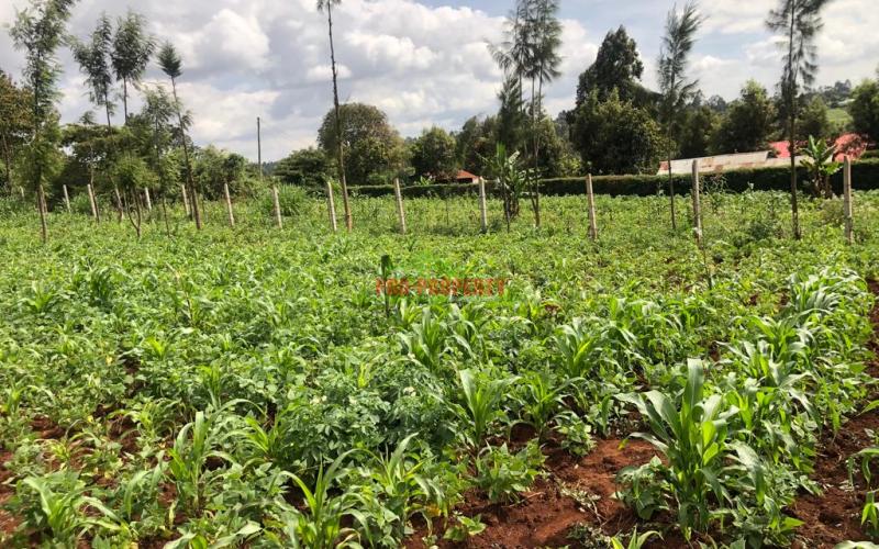 Prime Quarter Plot For Sale In Kikuyu, Gikambura.
