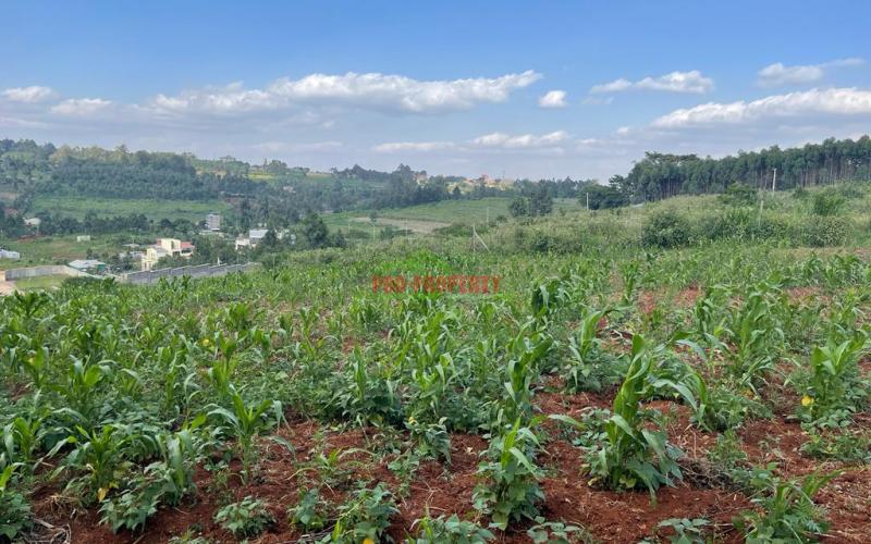 Prime Residential Plot For Sale In Kikuyu, Ondiri (kiambu County) With Amazing Views Of The Area And Kikuyu Town.