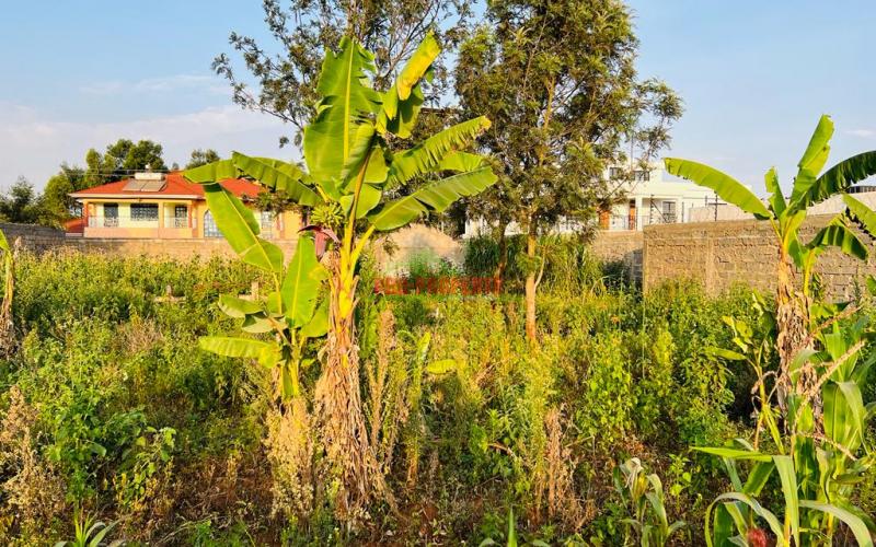 Prime Residential Plot For Sale In Kikuyu, Gikambura.