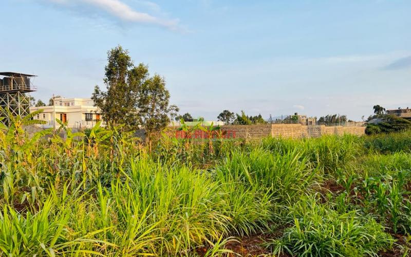 Prime Residential Plot For Sale In Kikuyu, Gikambura.