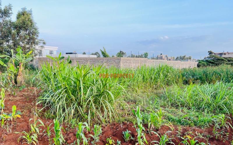 Prime Residential Plot For Sale In Kikuyu, Gikambura.